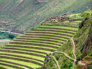 Ruinas de Pisac con su Mercado